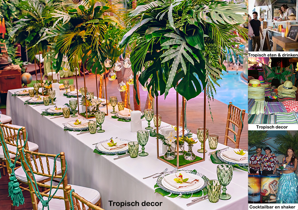 Tropical Themaparty
